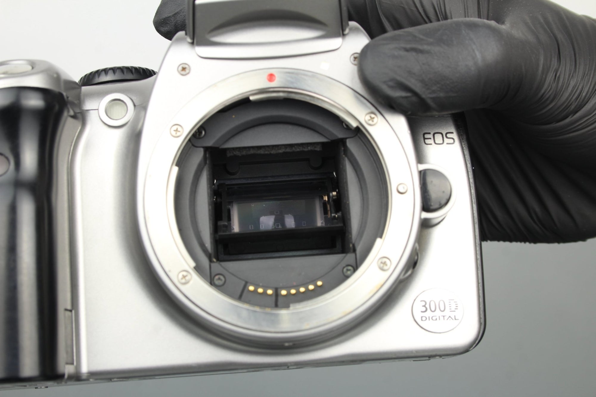 Canon EOS 300D - Dutch|Thrift